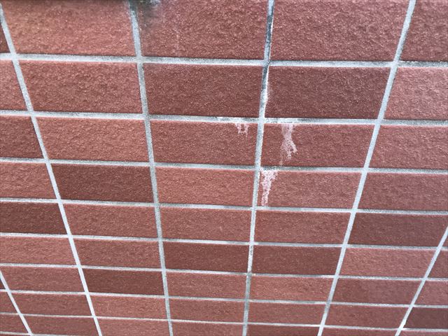 白岡市アパートレンガ調タイル外壁の白い汚れ