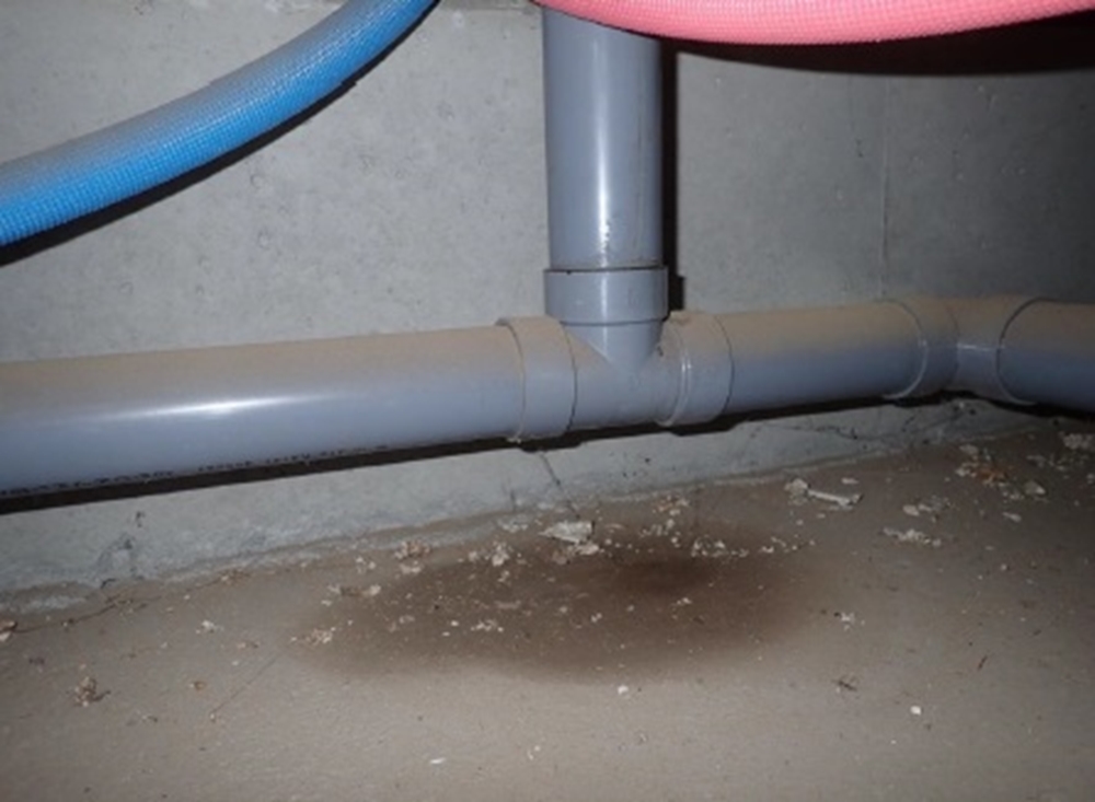 白蟻床下点検時に配管下水漏れ発見